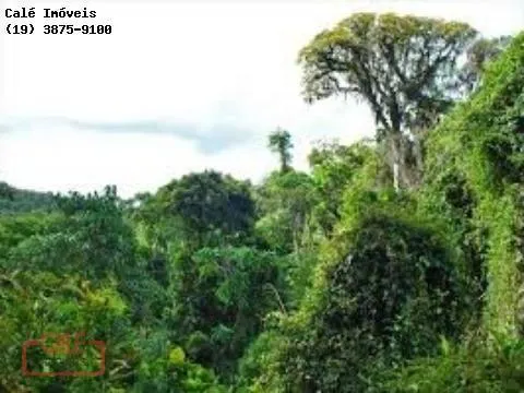 Fazenda à venda de 1.000 ha em Cananéia, SP, Brasil