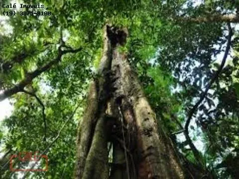 Fazenda à venda de 1.000 ha em Cananéia, SP, Brasil