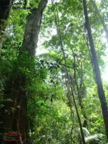 Fazenda à venda de 1.000 ha em Cananéia, SP, Brasil