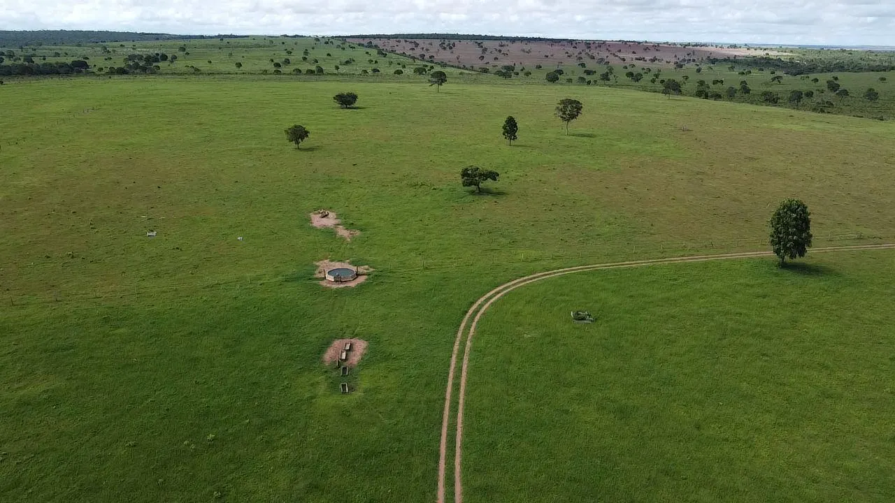 Fazenda à venda de 340 ha em Rondonópolis, MT, Brasil