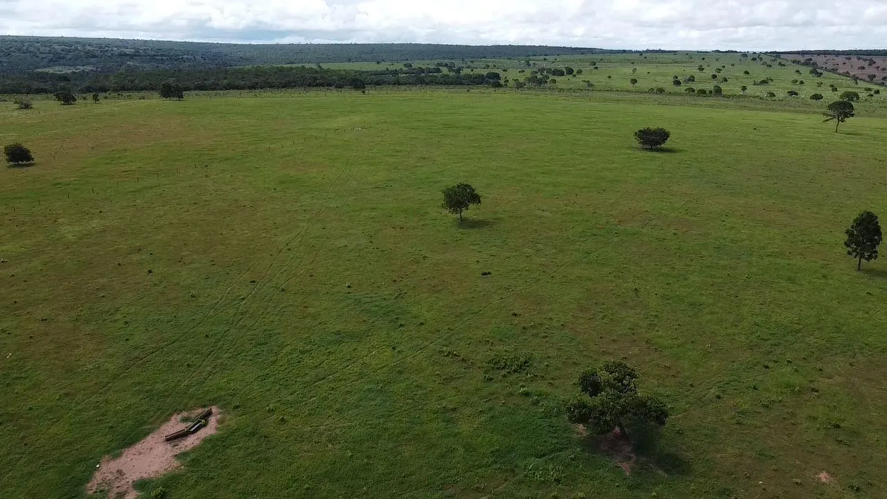 Fazenda à venda de 340 ha em Rondonópolis, MT, Brasil