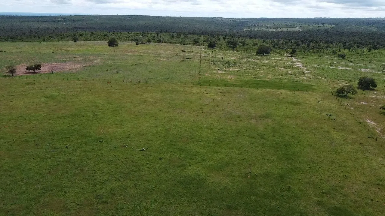 Fazenda à venda de 340 ha em Rondonópolis, MT, Brasil