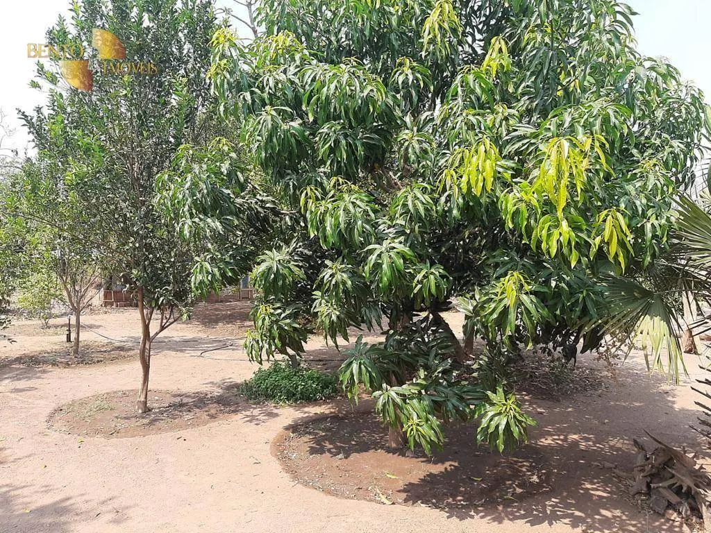 Small farm for sale of 54 acres in Cuiabá, MT, Brazil