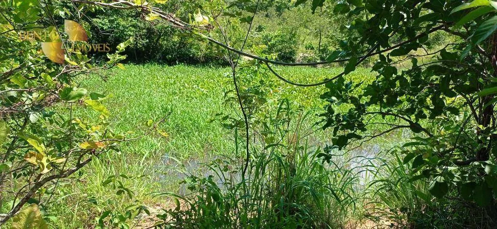 Small farm for sale of 54 acres in Cuiabá, MT, Brazil