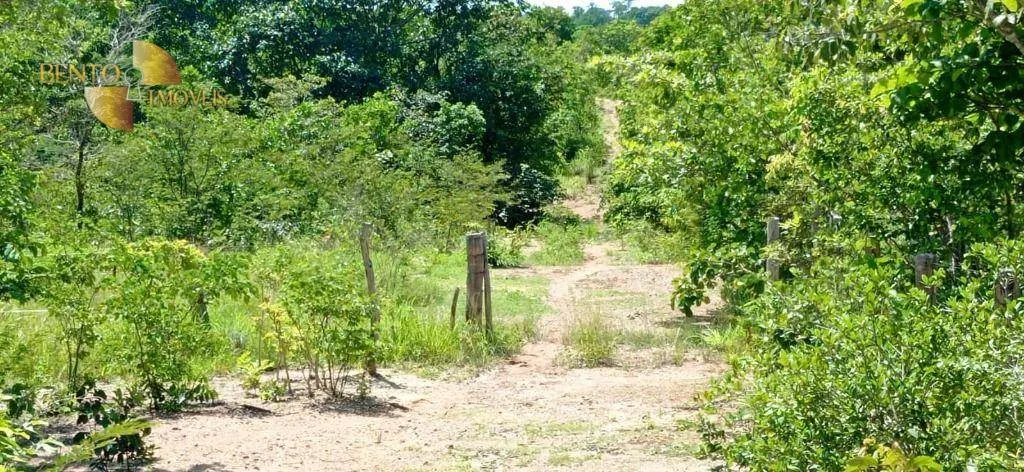 Small farm for sale of 54 acres in Cuiabá, MT, Brazil