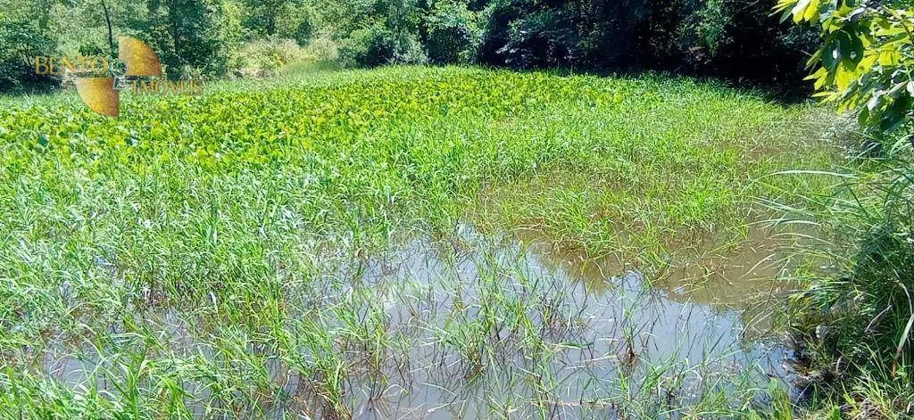 Small farm for sale of 54 acres in Cuiabá, MT, Brazil