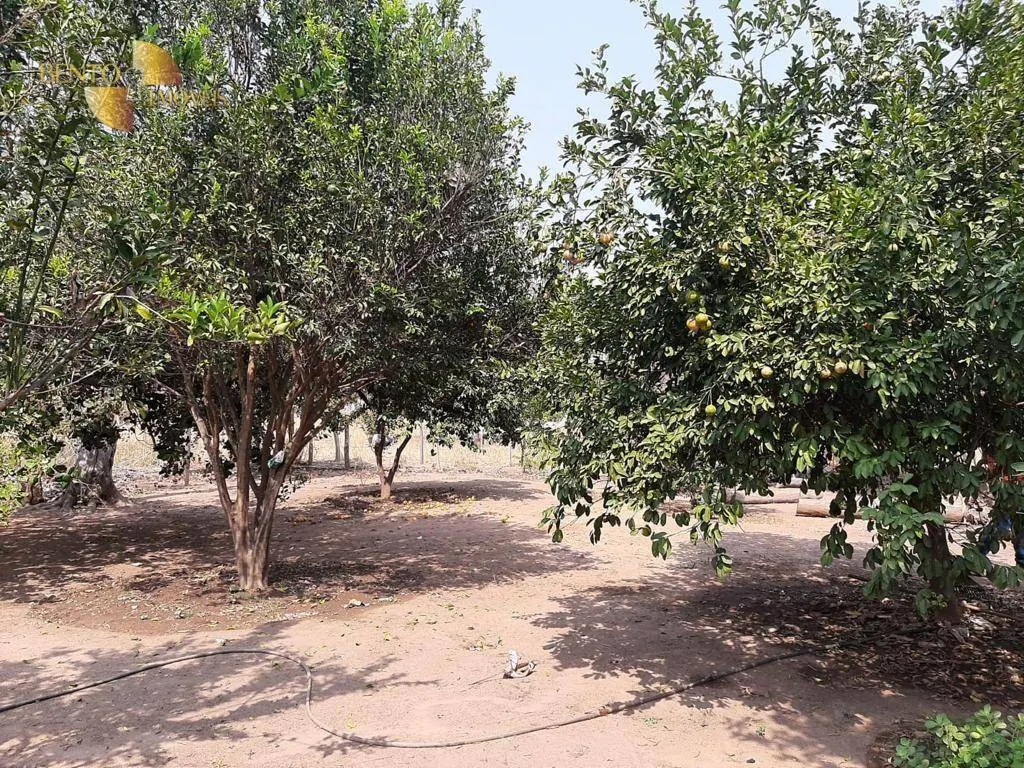 Small farm for sale of 54 acres in Cuiabá, MT, Brazil