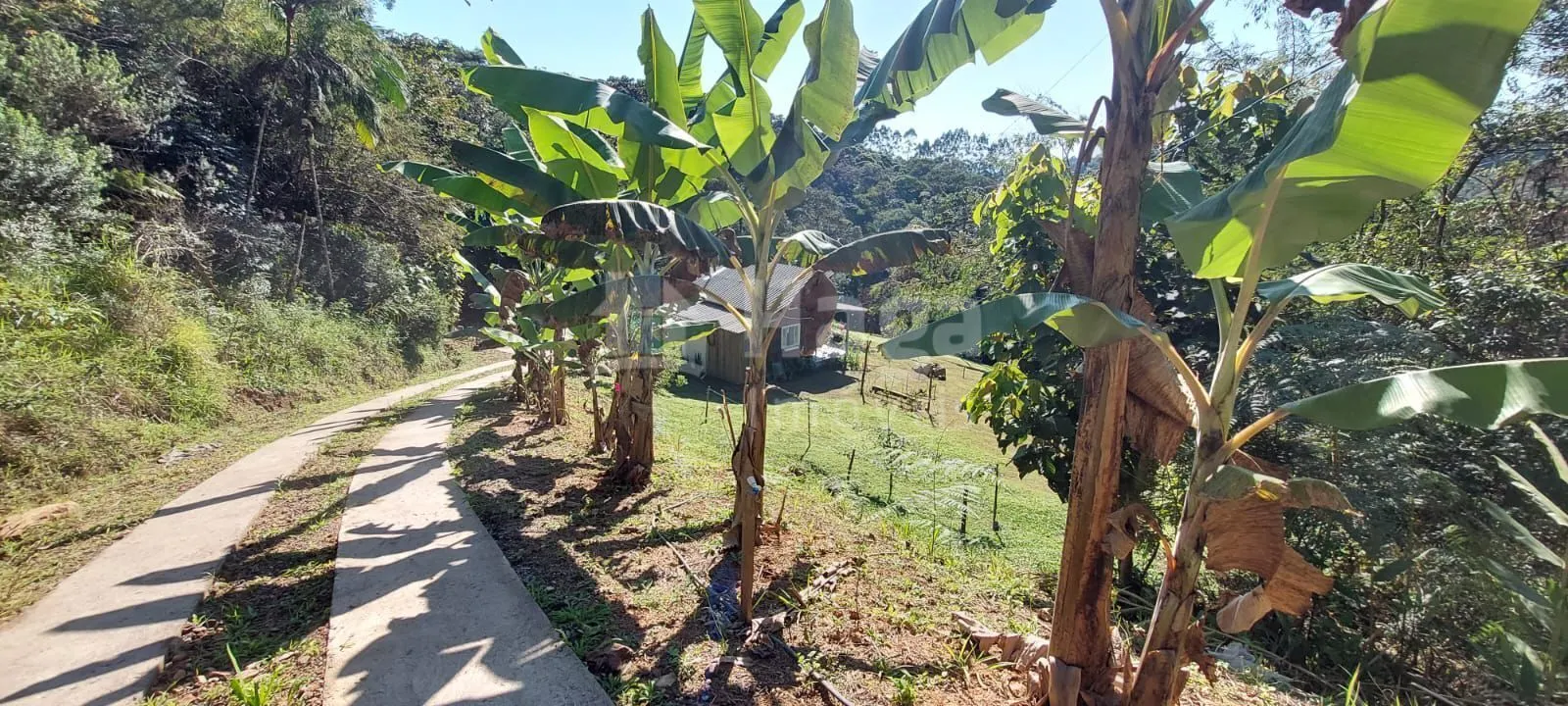 Country home for sale of 5 acres in Águas Mornas, SC, Brazil