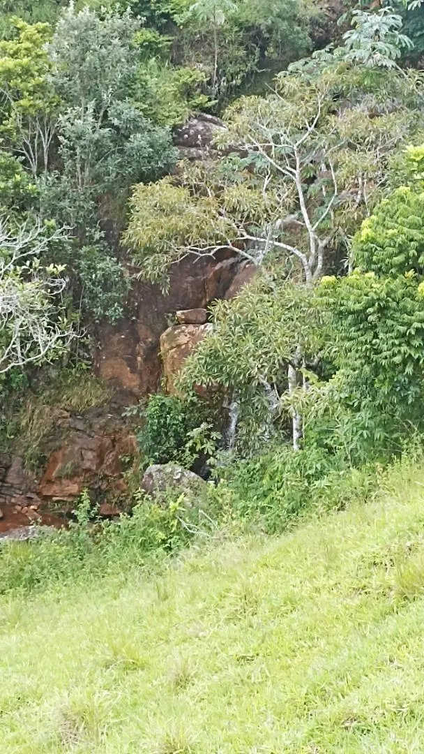 Fazenda à venda de 300 ha em São José dos Campos, SP, Brasil