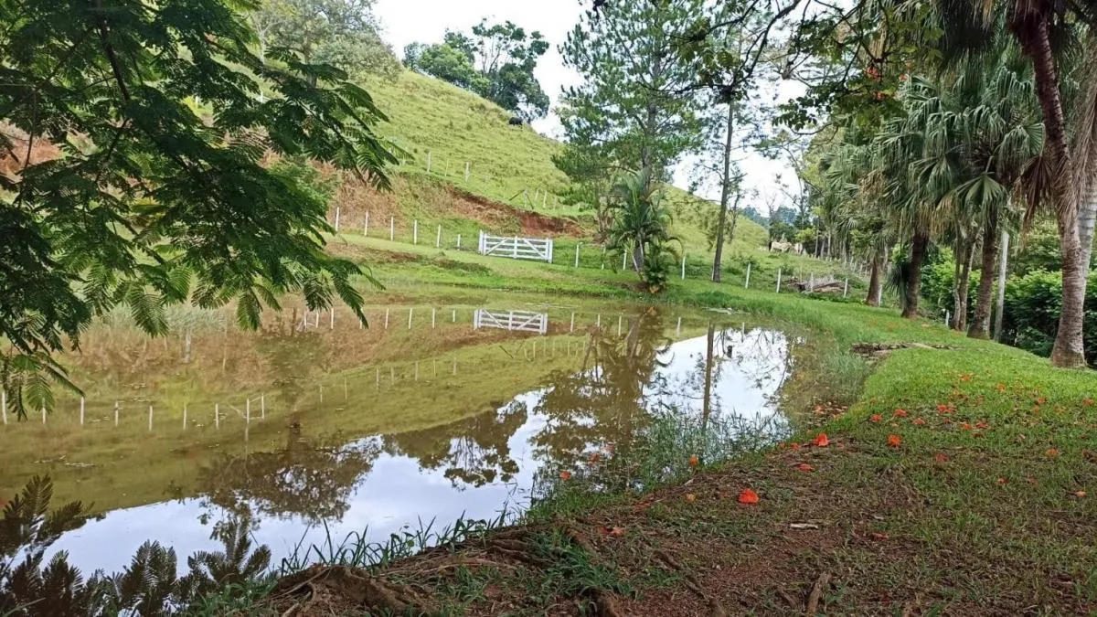 Fazenda à venda de 300 ha em São José dos Campos, SP, Brasil