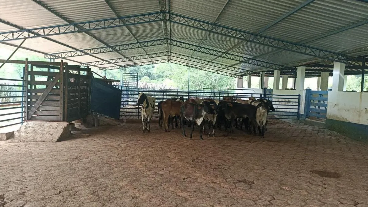 Fazenda à venda de 300 ha em São José dos Campos, SP, Brasil
