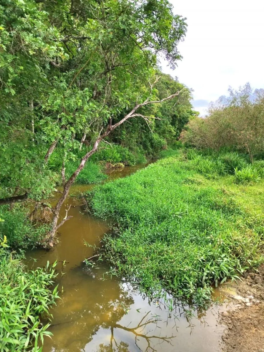 Sítio à venda de 48 ha em São Miguel Arcanjo, SP, Brasil