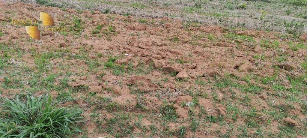 Fazenda à venda de 809 ha em Nobres, MT, Brasil