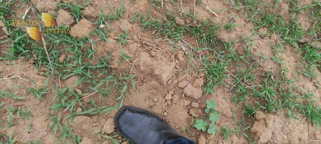 Fazenda à venda de 809 ha em Nobres, MT, Brasil