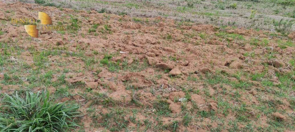 Fazenda à venda de 809 ha em Nobres, MT, Brasil