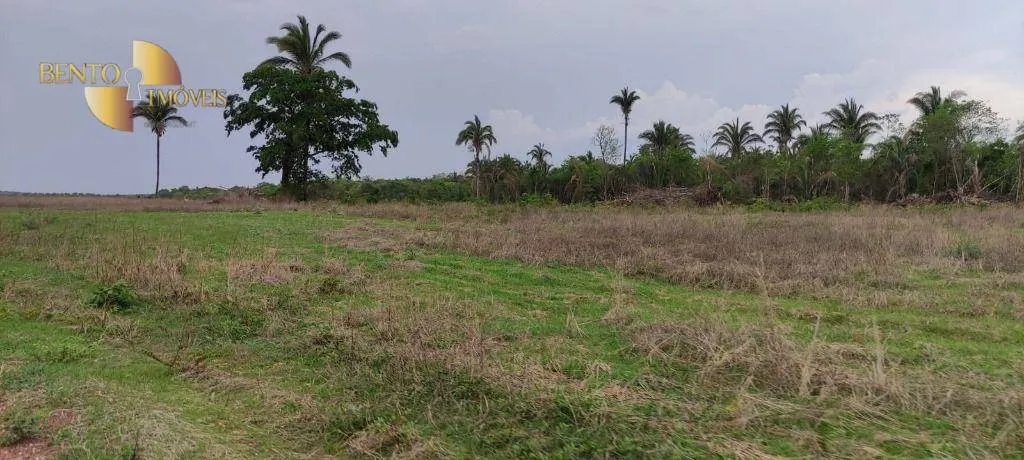 Fazenda à venda de 809 ha em Nobres, MT, Brasil