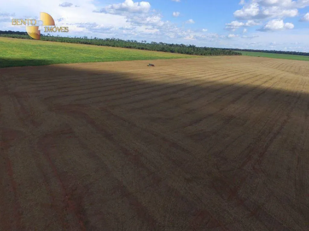 Fazenda à venda de 600 ha em São José do Rio Claro, MT, Brasil
