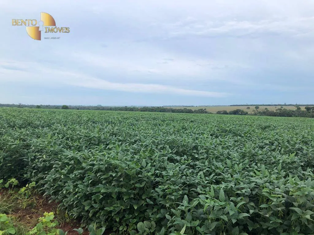 Fazenda à venda de 600 ha em São José do Rio Claro, MT, Brasil
