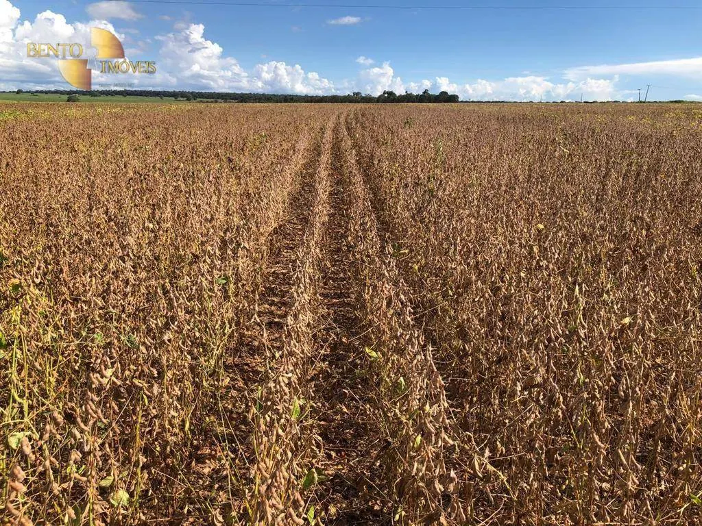 Fazenda à venda de 600 ha em São José do Rio Claro, MT, Brasil