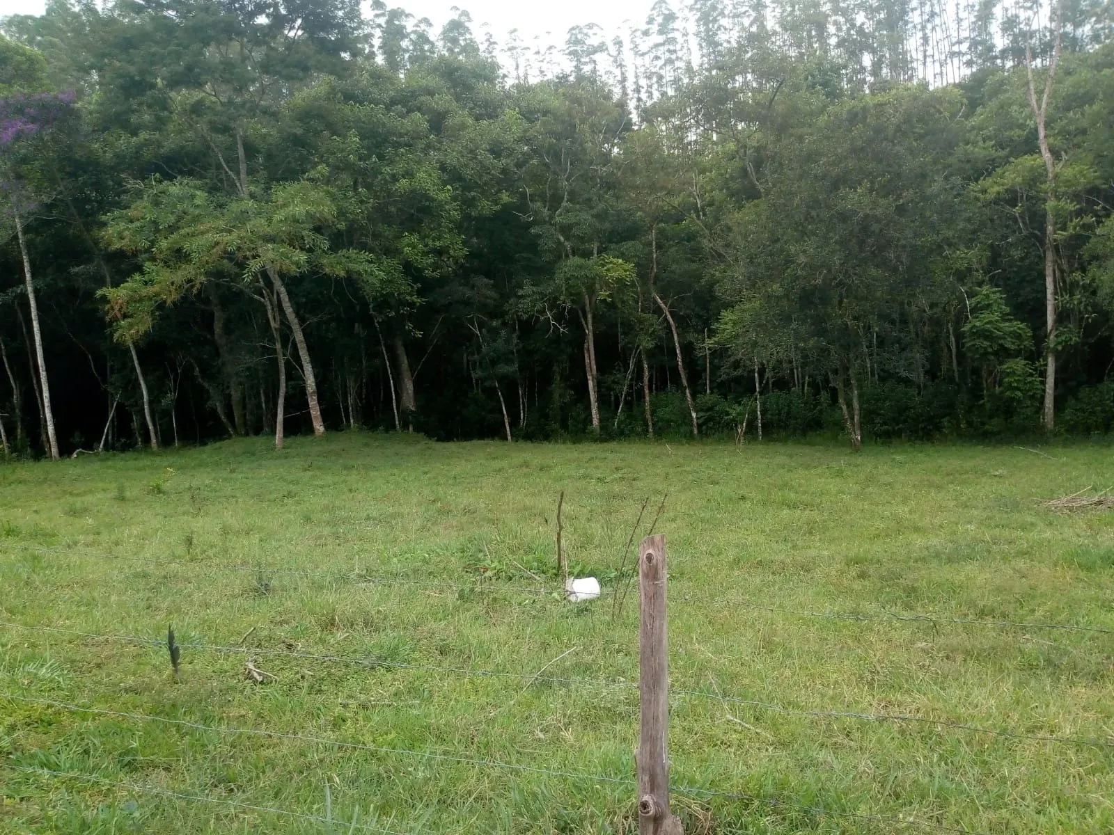Plot for sale of 5 acres in São José dos Campos, SP, Brazil