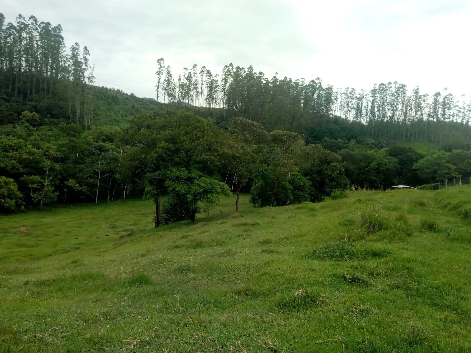 Plot for sale of 5 acres in São José dos Campos, SP, Brazil