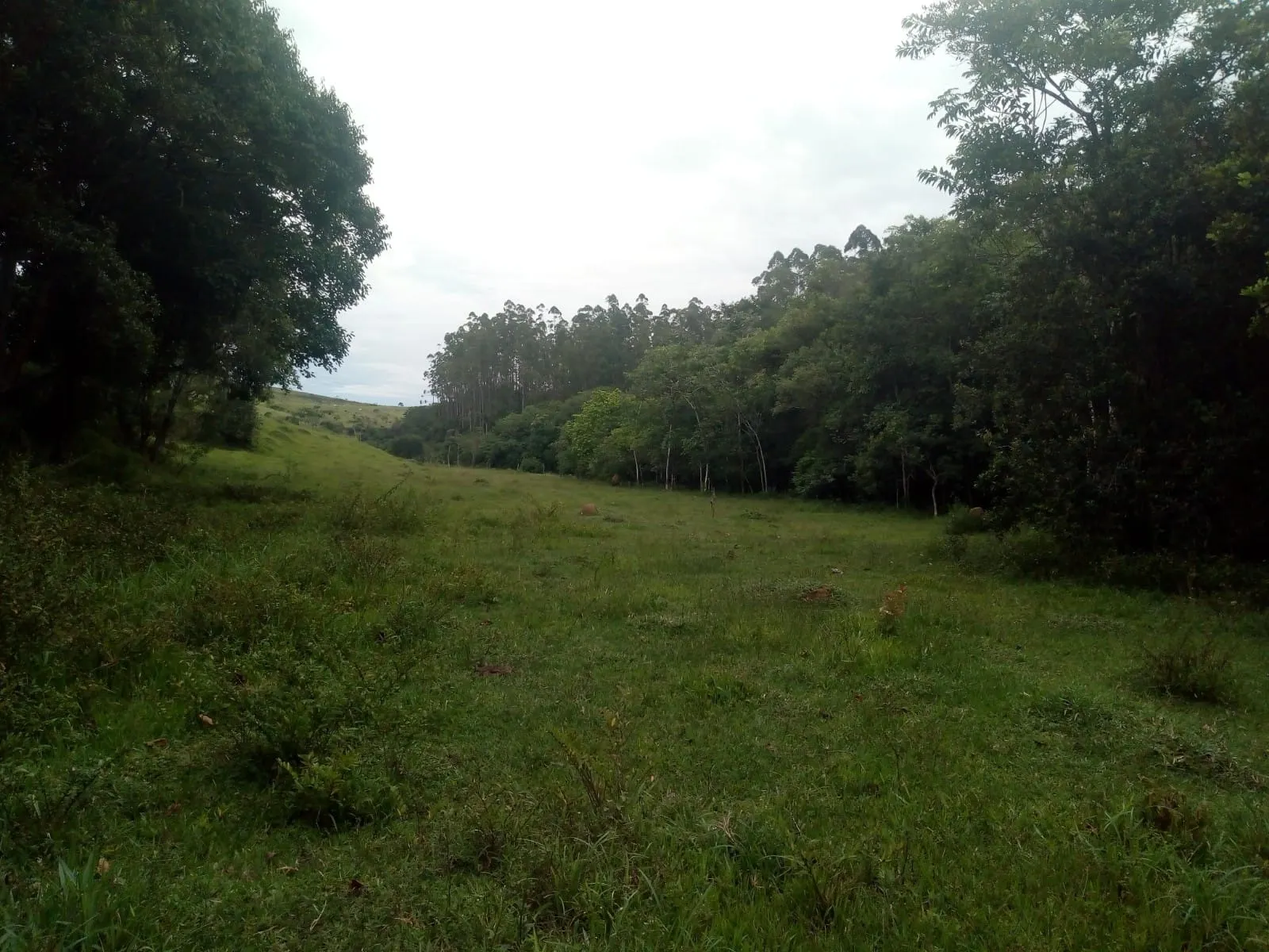 Plot for sale of 5 acres in São José dos Campos, SP, Brazil