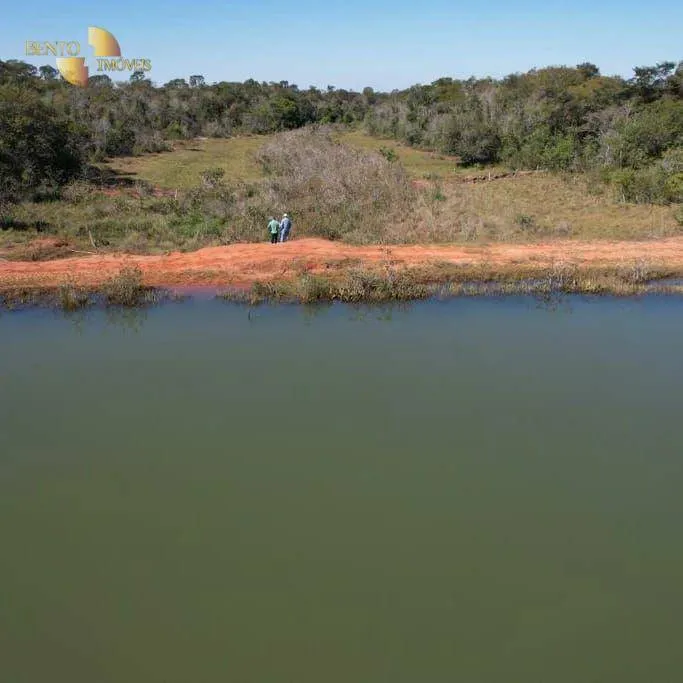 Farm for sale and to rent of 5,805 acres in Ribas do Rio Pardo, MS, Brazil