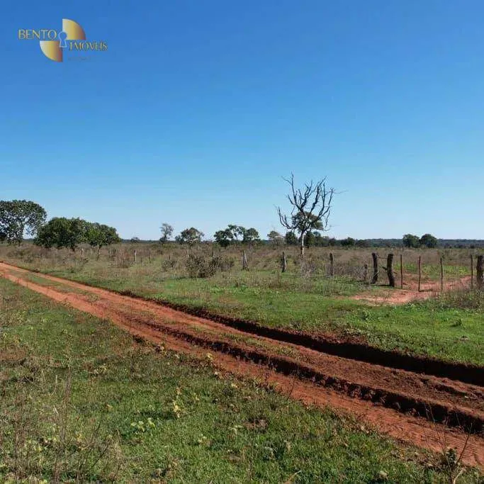 Farm for sale and to rent of 5,805 acres in Ribas do Rio Pardo, MS, Brazil