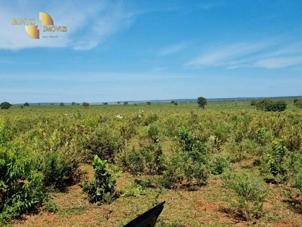 Farm for sale and to rent of 5,805 acres in Ribas do Rio Pardo, MS, Brazil