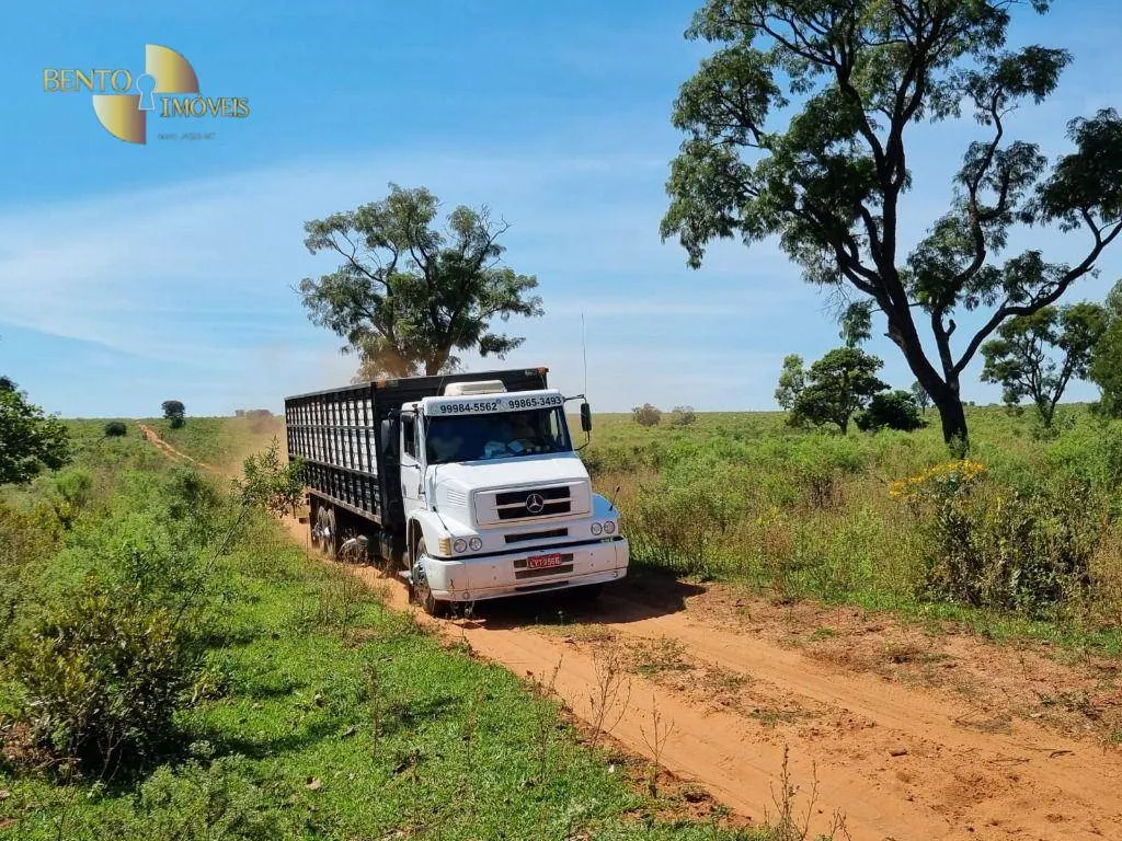 Farm for sale and to rent of 5,805 acres in Ribas do Rio Pardo, MS, Brazil