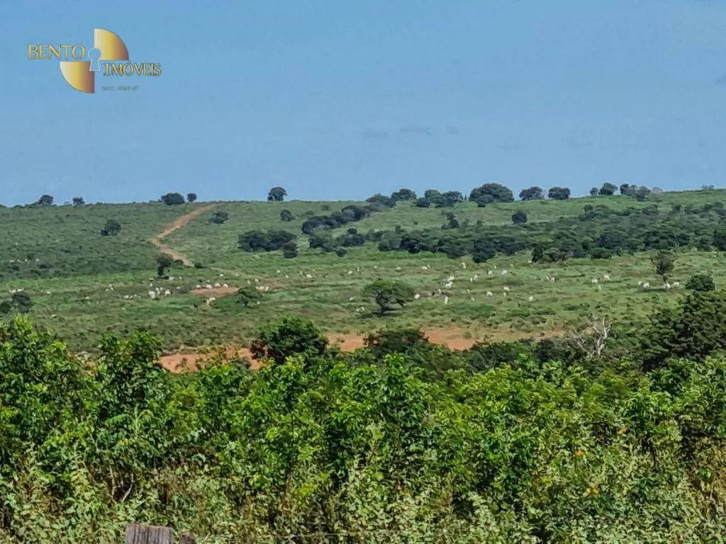 Farm for sale and to rent of 5,805 acres in Ribas do Rio Pardo, MS, Brazil