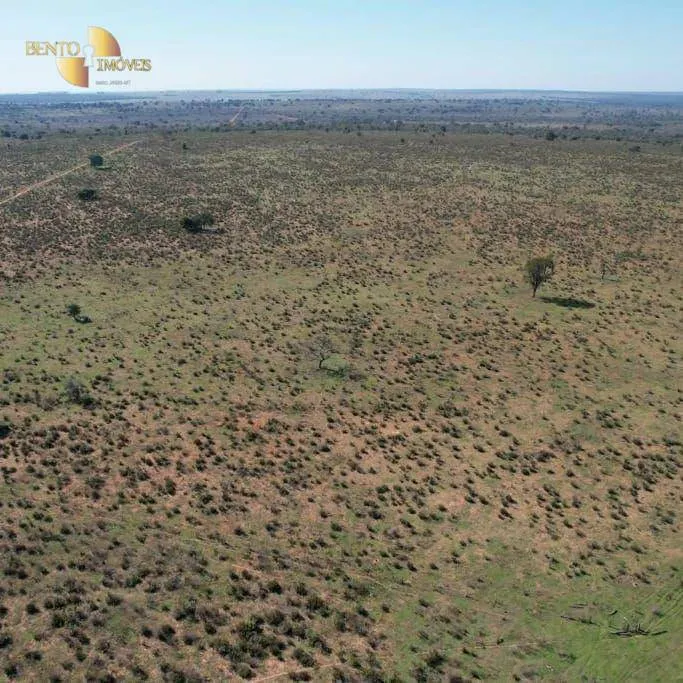 Farm for sale and to rent of 5,805 acres in Ribas do Rio Pardo, MS, Brazil