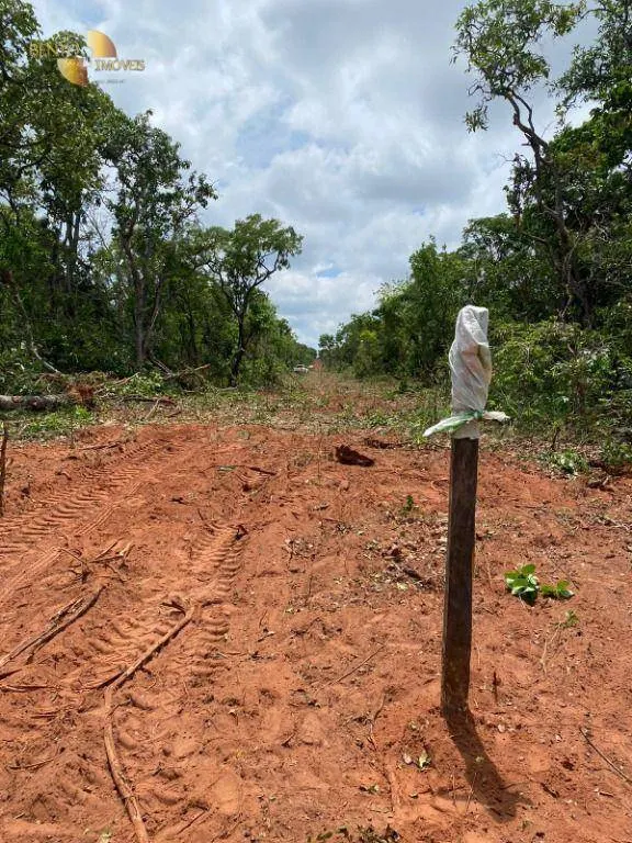 Farm for sale and to rent of 5,805 acres in Ribas do Rio Pardo, MS, Brazil