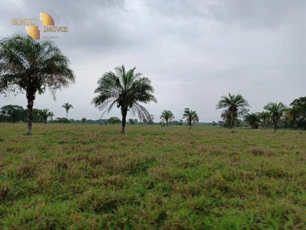 Farm for sale of 988 acres in Santo Antônio do Leverger, MT, Brazil
