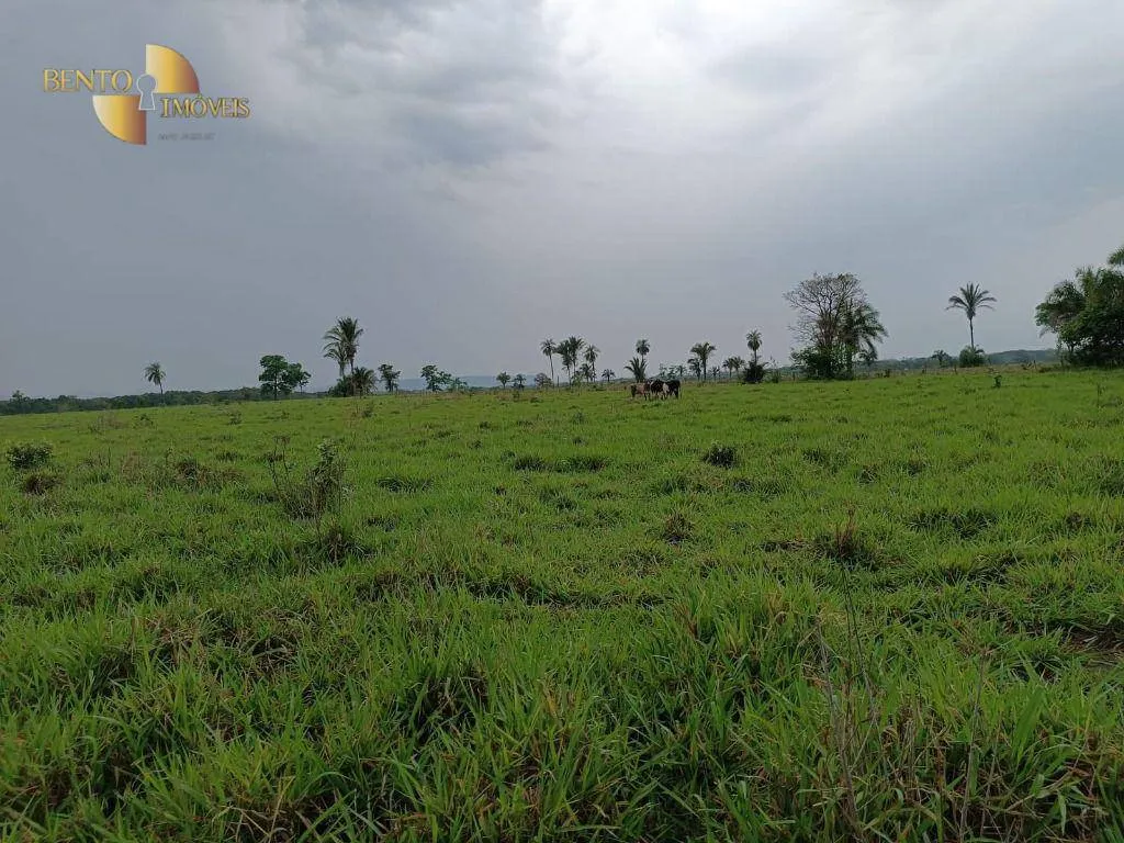 Farm for sale of 988 acres in Santo Antônio do Leverger, MT, Brazil