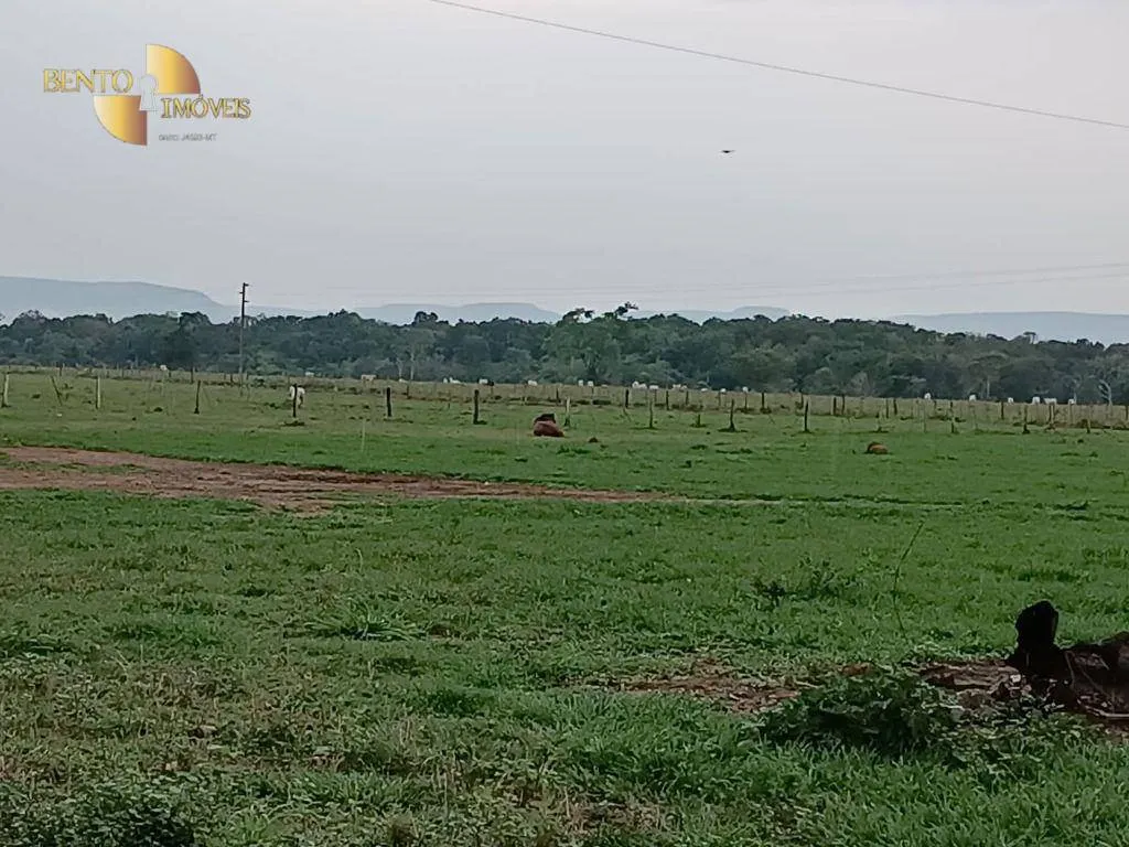 Farm for sale of 988 acres in Santo Antônio do Leverger, MT, Brazil