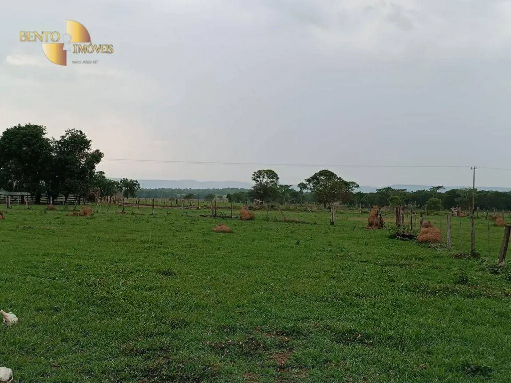 Farm for sale of 988 acres in Santo Antônio do Leverger, MT, Brazil