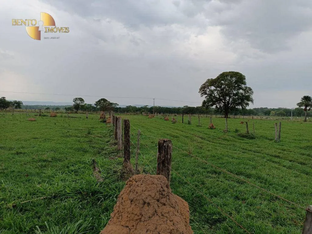 Farm for sale of 988 acres in Santo Antônio do Leverger, MT, Brazil