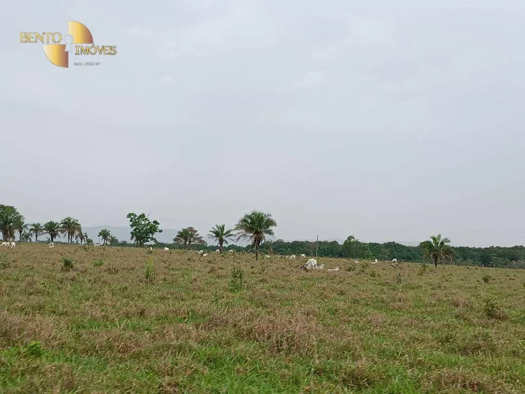 Farm for sale of 988 acres in Santo Antônio do Leverger, MT, Brazil