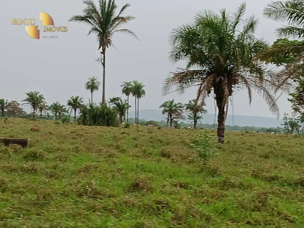 Farm for sale of 988 acres in Santo Antônio do Leverger, MT, Brazil