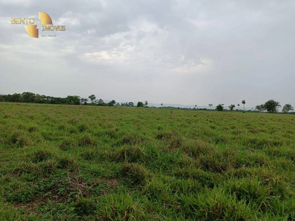 Farm for sale of 988 acres in Santo Antônio do Leverger, MT, Brazil