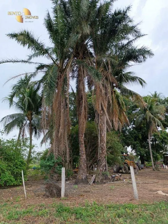Farm for sale of 988 acres in Santo Antônio do Leverger, MT, Brazil