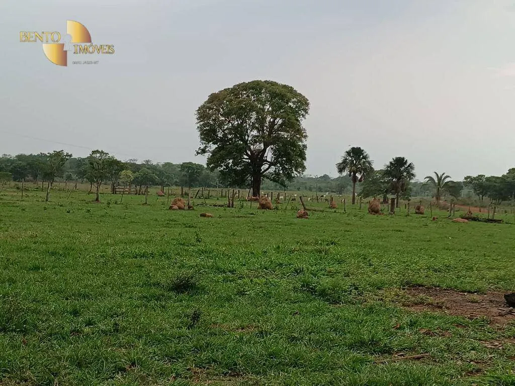 Farm for sale of 988 acres in Santo Antônio do Leverger, MT, Brazil