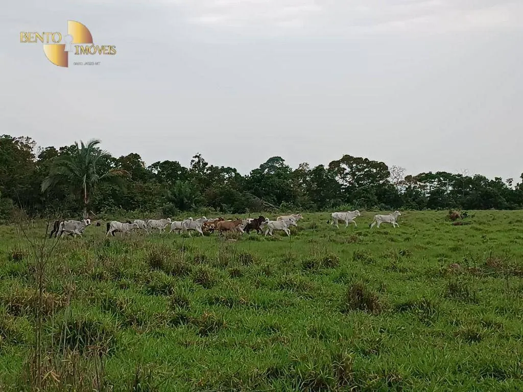 Farm for sale of 988 acres in Santo Antônio do Leverger, MT, Brazil