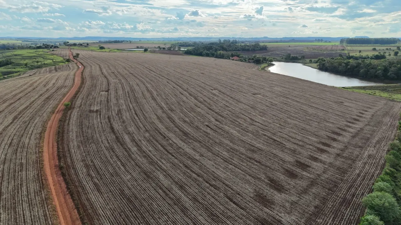 Fazenda à venda de 90 ha em Quadra, SP, Brasil