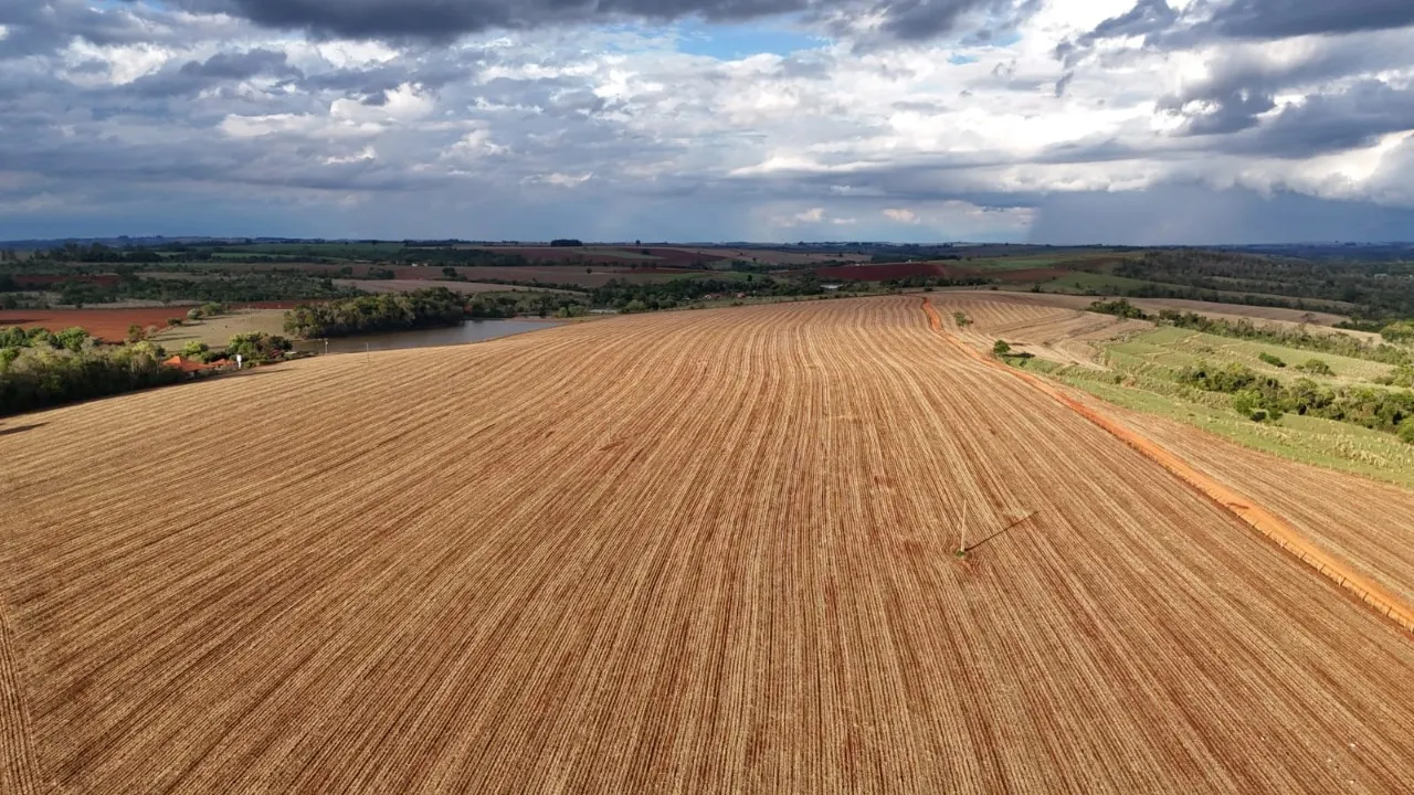 Fazenda à venda de 90 ha em Quadra, SP, Brasil