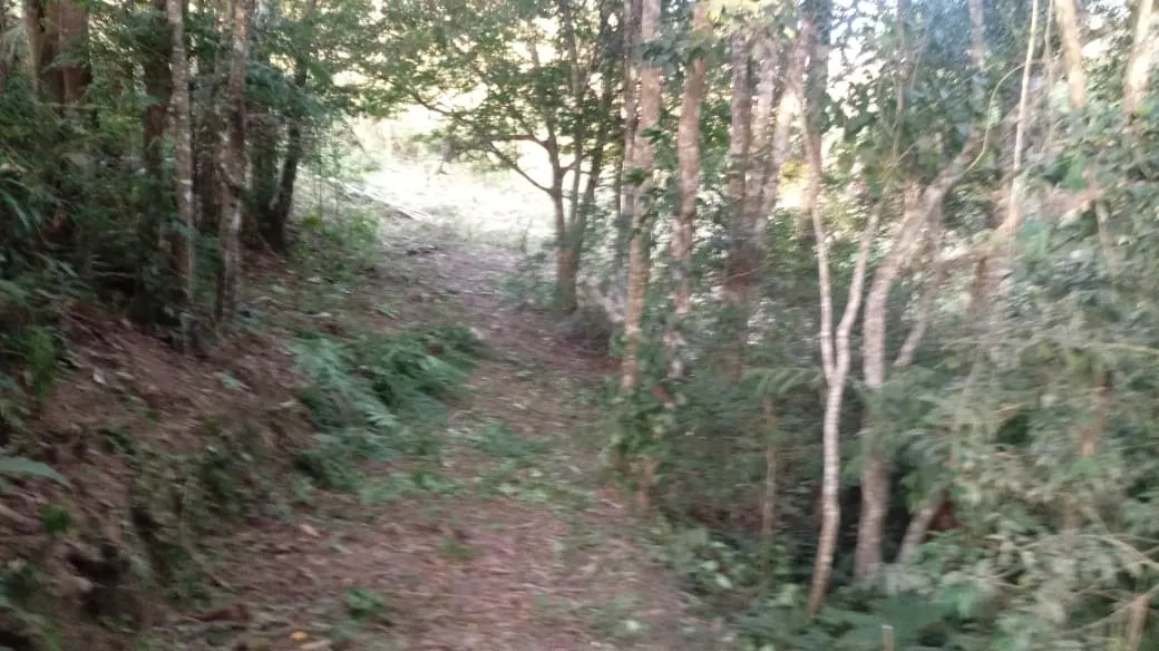 Chácara à venda de 3 ha em São Miguel Arcanjo, SP, Brasil