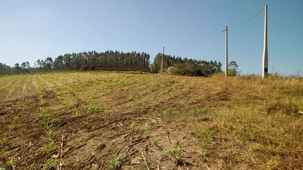 Chácara à venda de 3 ha em São Miguel Arcanjo, SP, Brasil