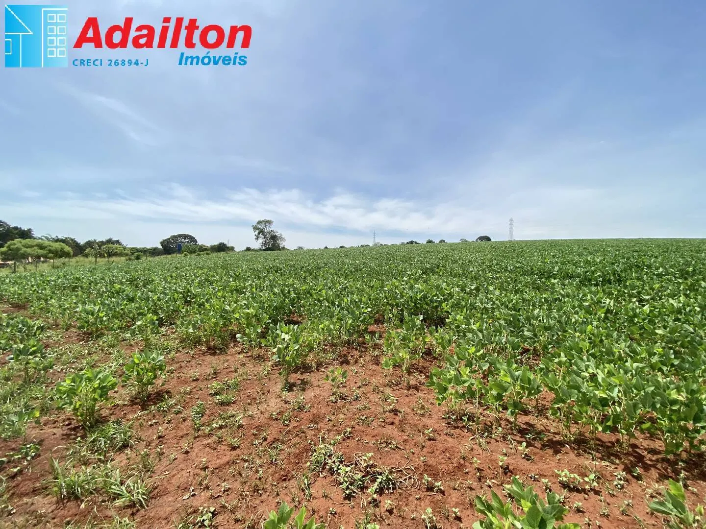 Plot for sale of 10 acres in Piraju, SP, Brazil