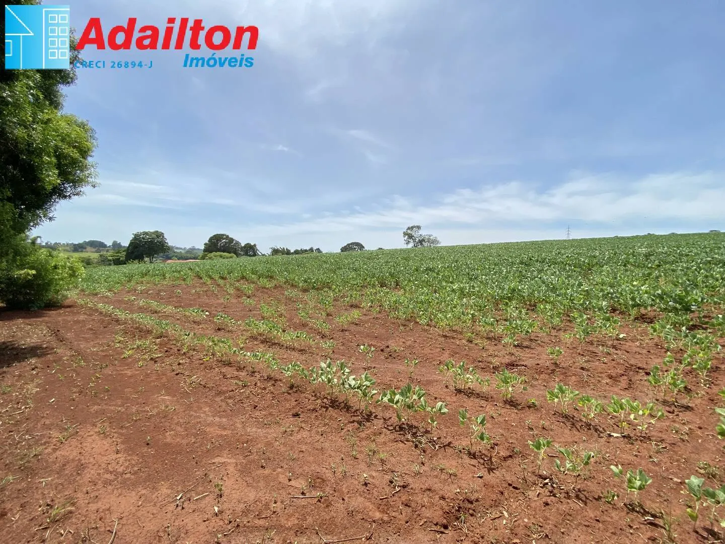 Plot for sale of 10 acres in Piraju, SP, Brazil
